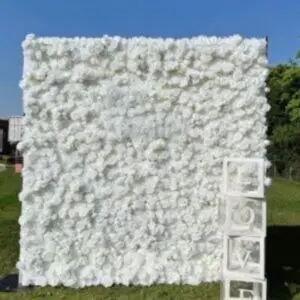 QHxfXeddejuytQc